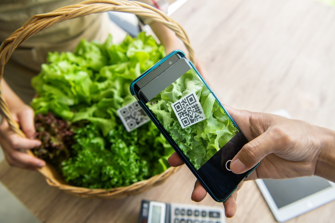 A Revolutionary Approach to Traceability in 2024